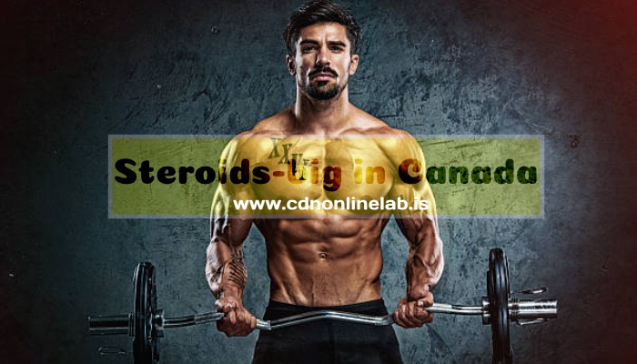 Beware The megabolix steroids Scam